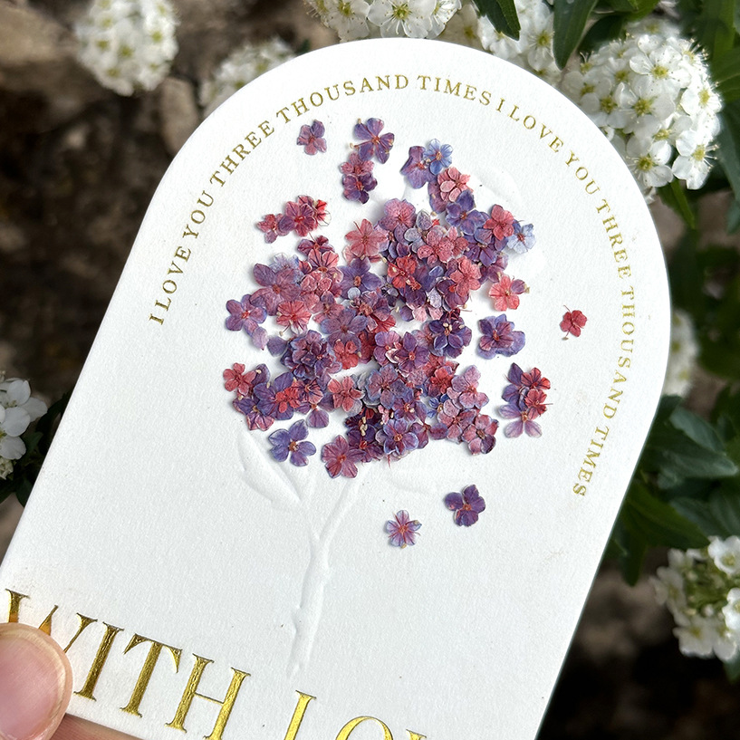 500 Flores Secas al por Mayor, - Resin Art Instagram reseña y precio